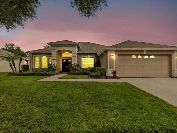 10229 QUAILS LANDING AVENUE , TAMPA, FL 33647