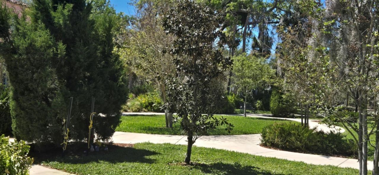 5904 Elm Street, New Port Richey, FL 34652 Photo