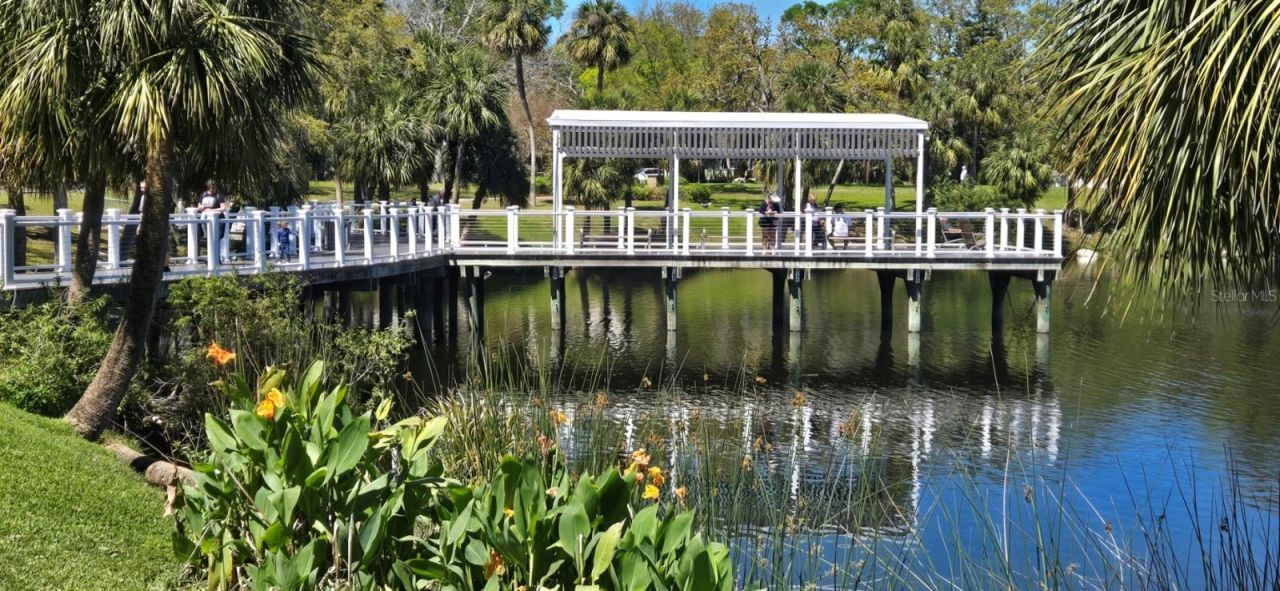 5904 Elm Street, New Port Richey, FL 34652 Photo