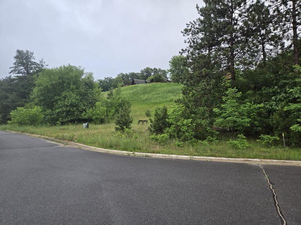 255 & 257 BLOSSOM DRIVE, Warrens, WI 54666