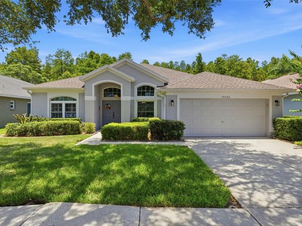 19720 MORDEN BLUSH DRIVE, LUTZ, FL 33558