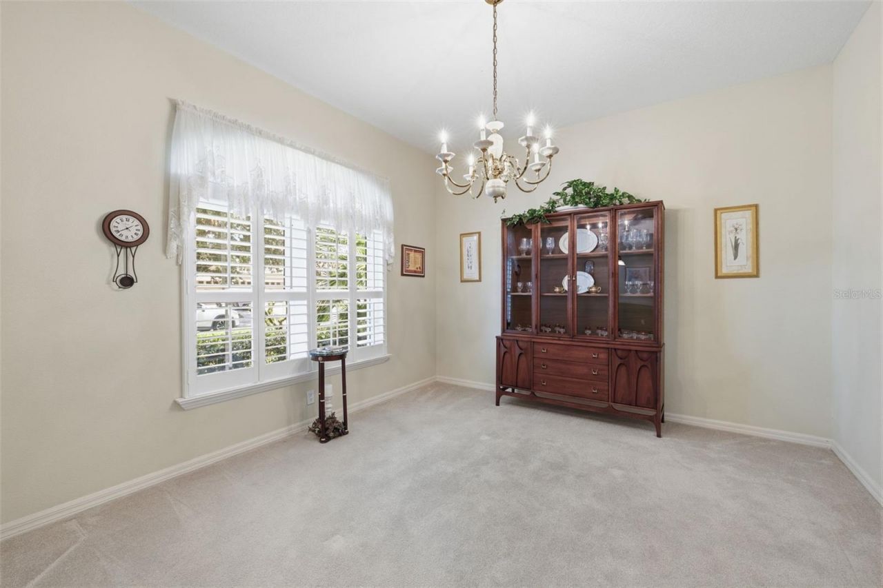 19720 Morden Blush Drive, Lutz, FL 33558 Photo