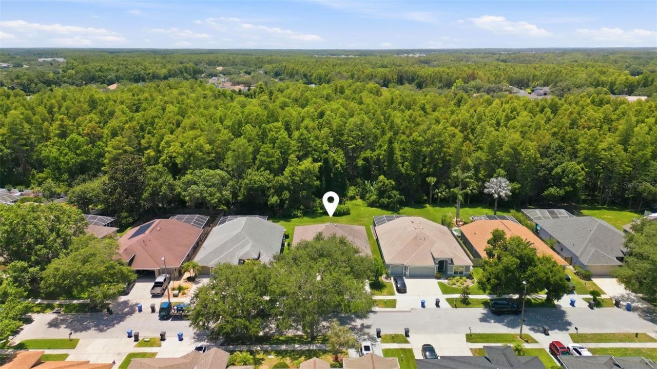19720 Morden Blush Drive, Lutz, FL 33558 Photo