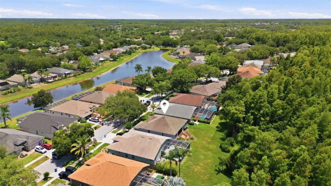 19720 Morden Blush Drive, Lutz, FL 33558 Photo