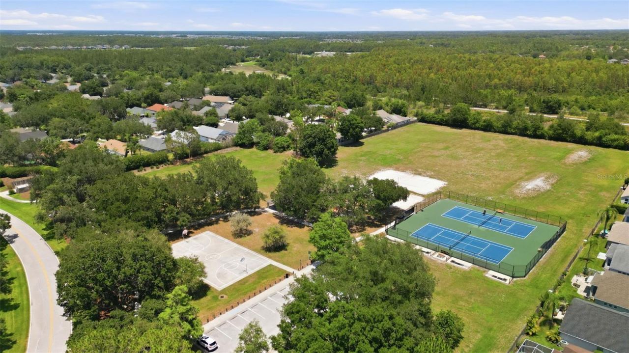 19720 Morden Blush Drive, Lutz, FL 33558 Photo
