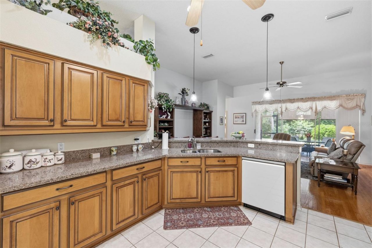 19720 Morden Blush Drive, Lutz, FL 33558 Photo