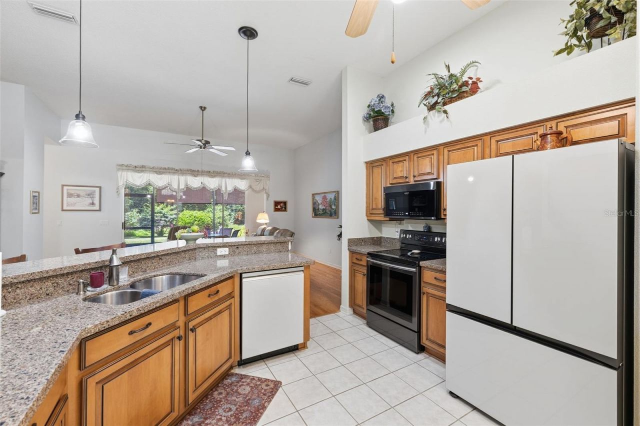 19720 Morden Blush Drive, Lutz, FL 33558 Photo