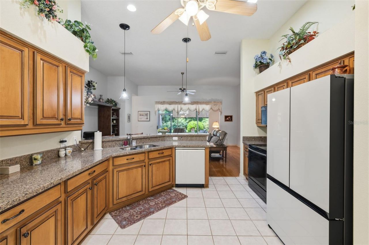 19720 Morden Blush Drive, Lutz, FL 33558 Photo