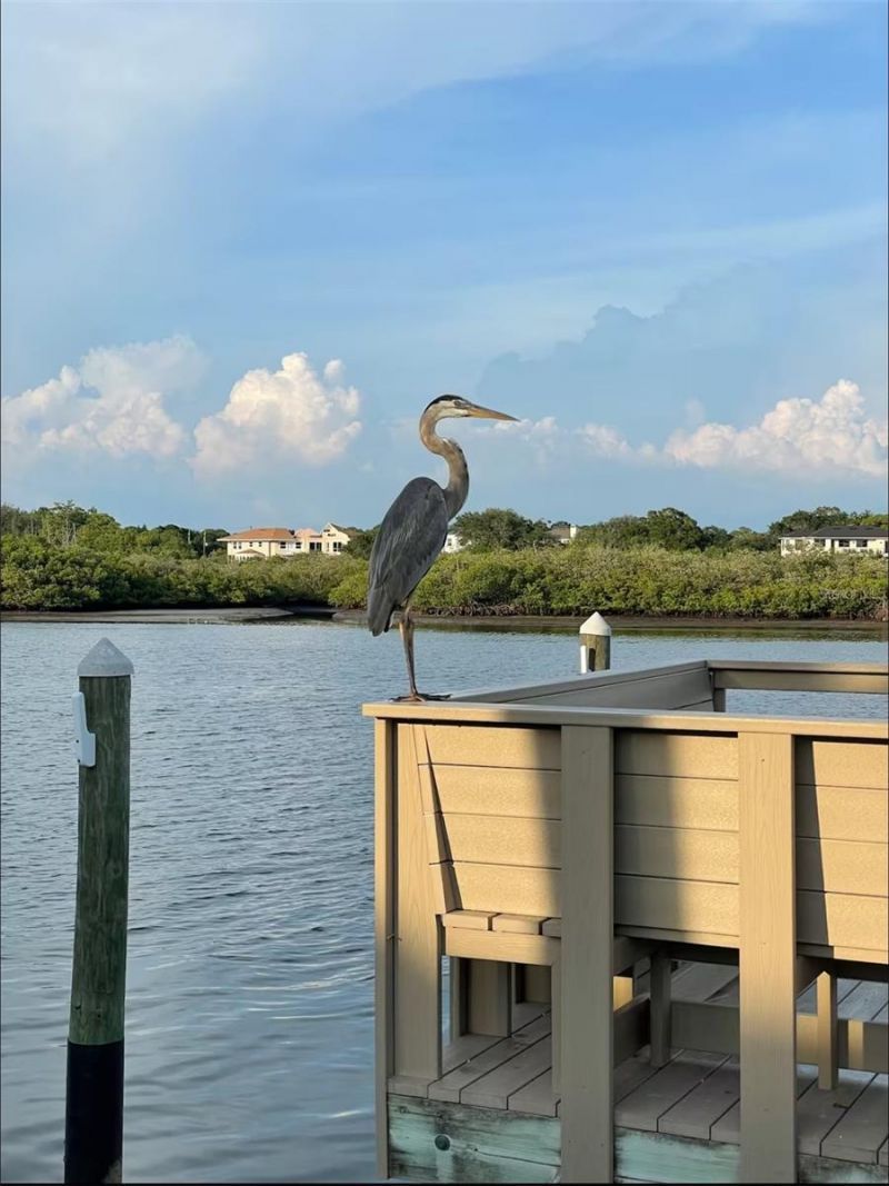 19417 Gulf Boulevard, Unit F110, Indian Rocks Beach, FL 33785 Photo