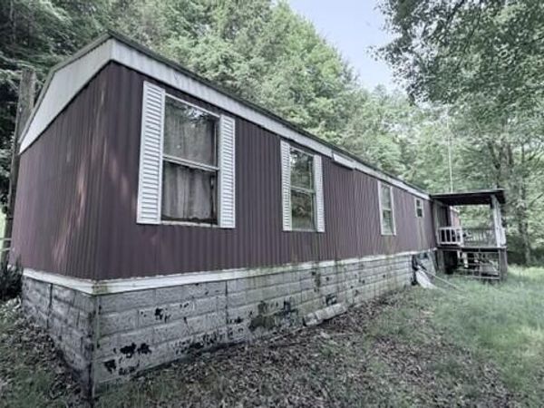 58 Smokey Br Rd, Danese, WV 25831