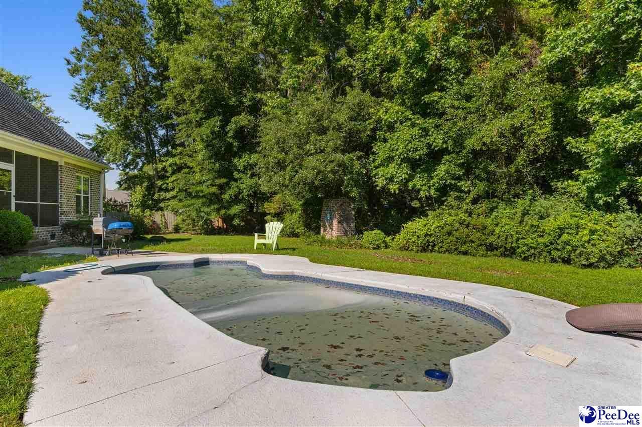 917 Rice Planters Lane Photo 46