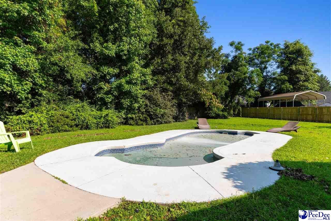 917 Rice Planters Lane Photo 47