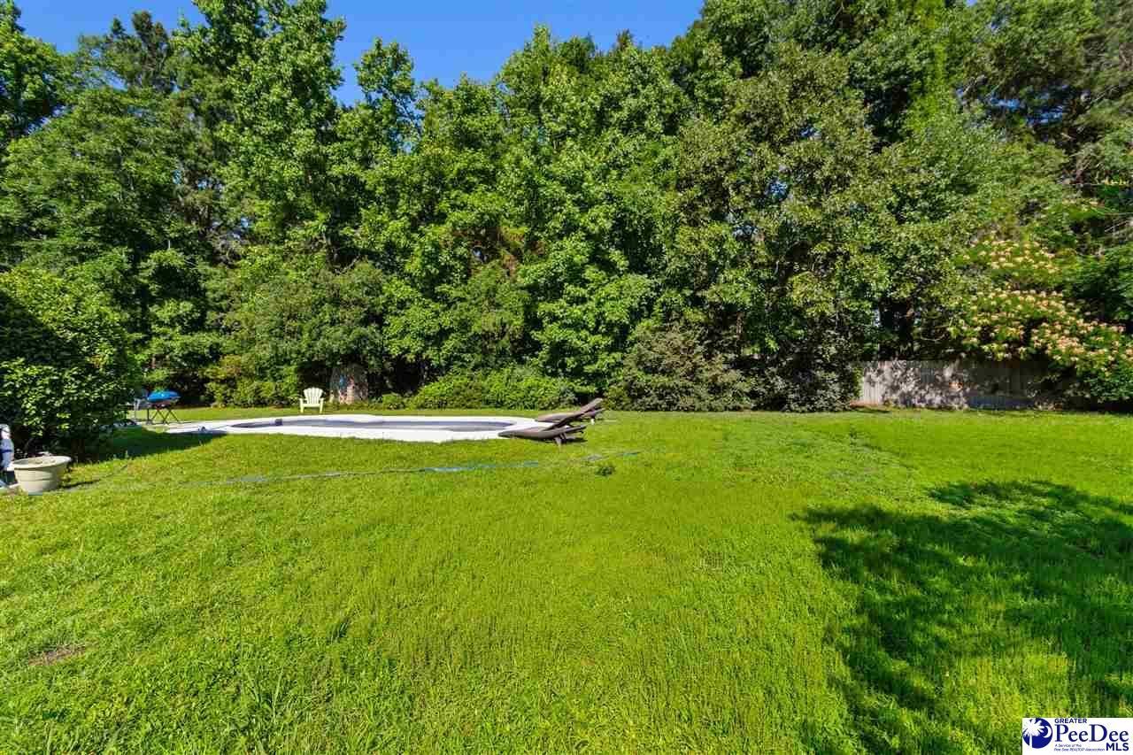 917 Rice Planters Lane Photo 48