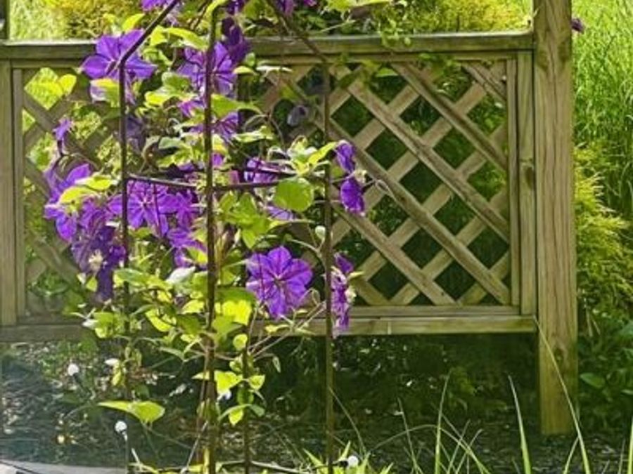 Property Image 125
