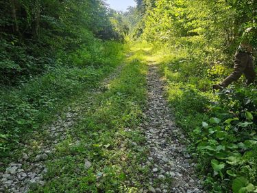 4242 Right Fork Georges Creek Road, Louisa, KY 41230