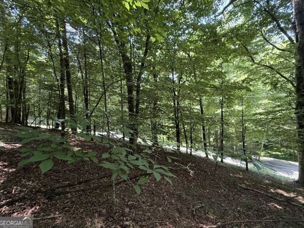 LOT 3469 Fir Lane, Ellijay, GA 30540