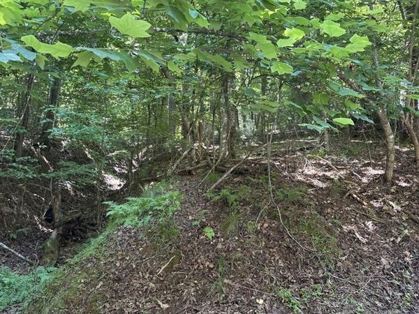 LOT 1178 Optic Court, Ellijay, GA 30540
