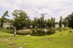 102 Spanish Oaks Lane photo 4