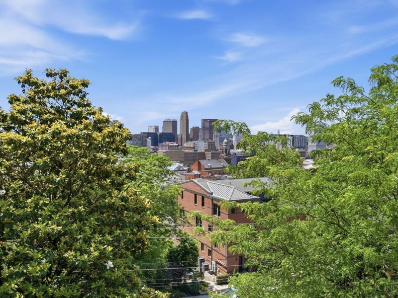 548 Liberty Hill, Cincinnati, OH 45202 Photo 67