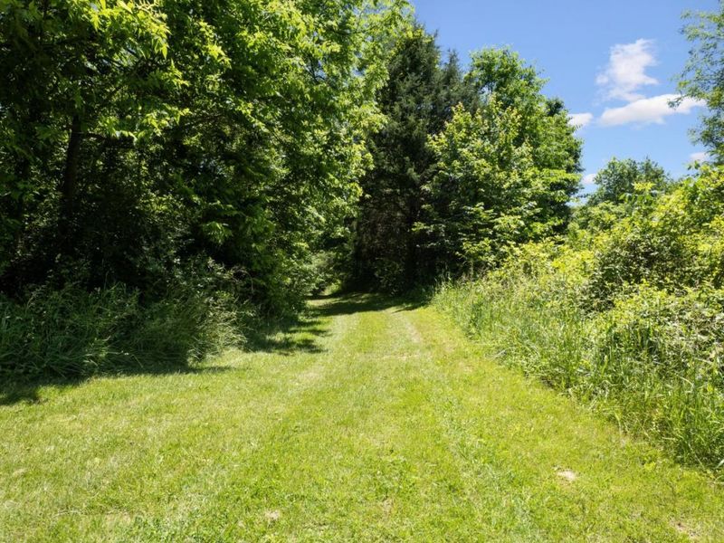 370 Wooded Run Road, Franklin Township, OH 45120 Photo 29