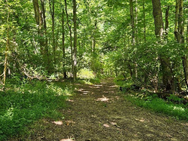 370 Wooded Run Road, Franklin Township, OH 45120 Photo 31