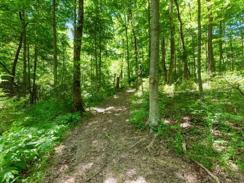 370 Wooded Run Road, Franklin Township, OH 45120 Photo 6