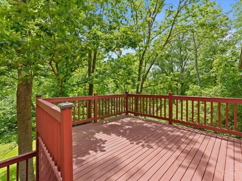 10911 Gosling Road, Colerain Township, OH 45252 Photo 53
