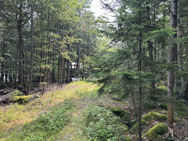 Lot 12-4 McNulty Lane , Rome, ME 04963