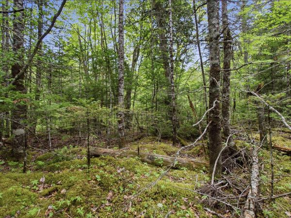 00 Kennebec Road , Machiasport, ME 04655