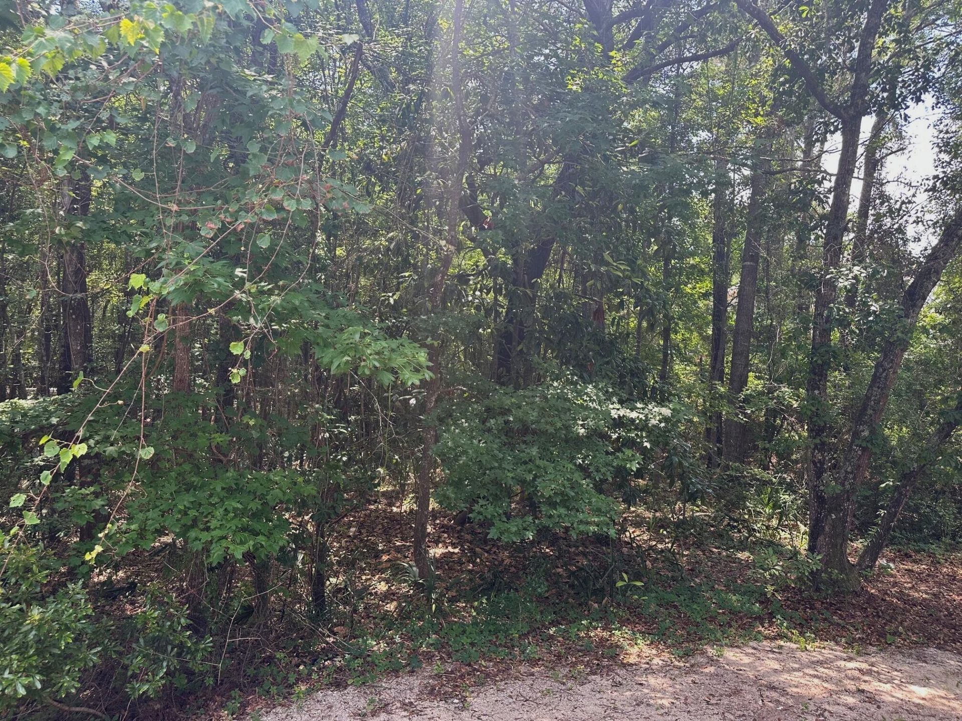 2858 Woodland Park Drive Photo 47