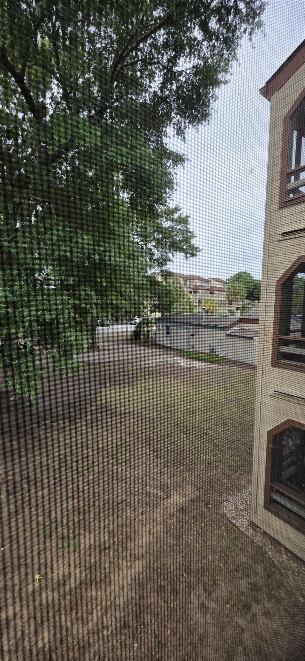 501 Maison Dr.  Photo 10