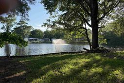 180 Offshore Dr.  photo 4