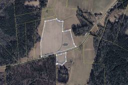 Tbd (tract 3) Long Branch Swamp Rd.  photo 4