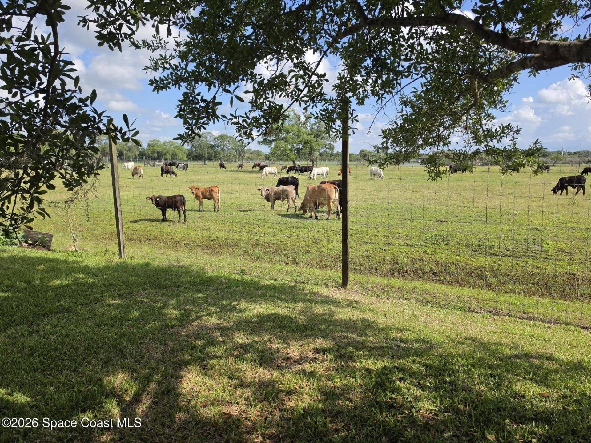 664 Dryden Circle , Cocoa, FL 32926 Photo