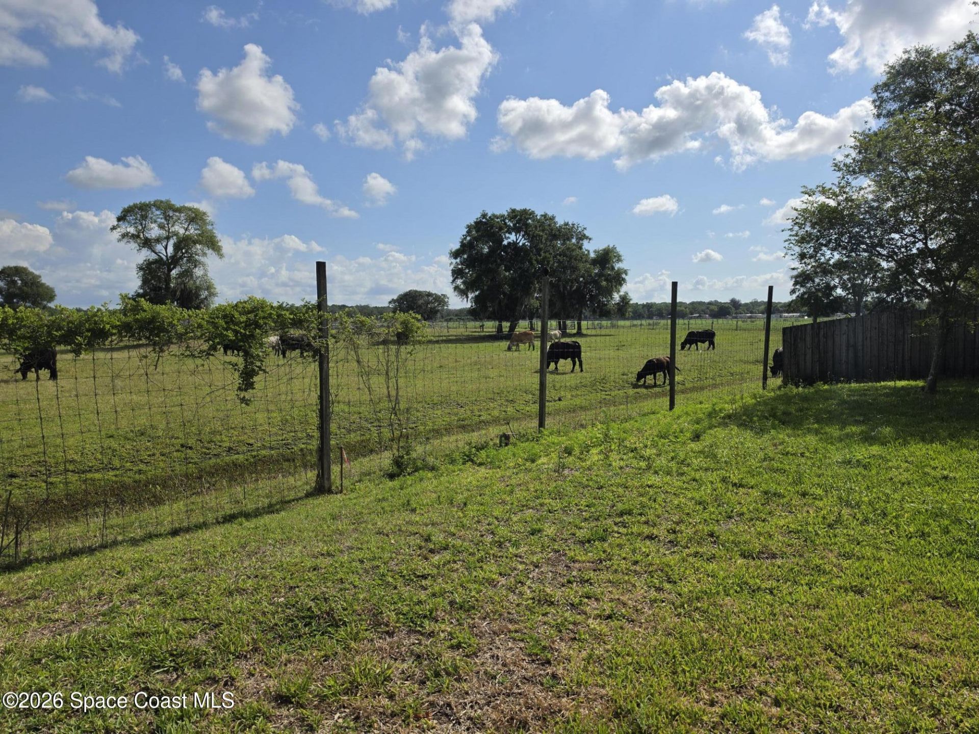 664 Dryden Circle , Cocoa, FL 32926 Photo