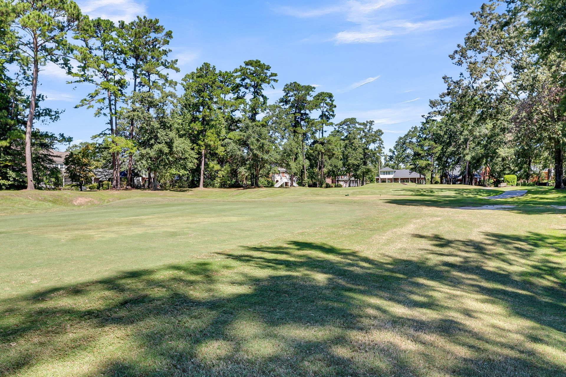 4416 Wild Thicket Lane Photo 41