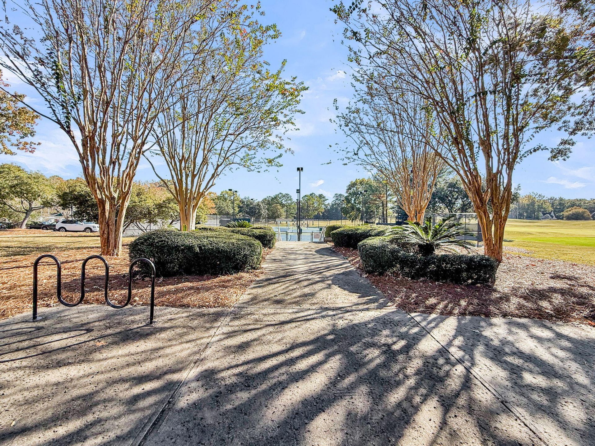 4416 Wild Thicket Lane Photo 85