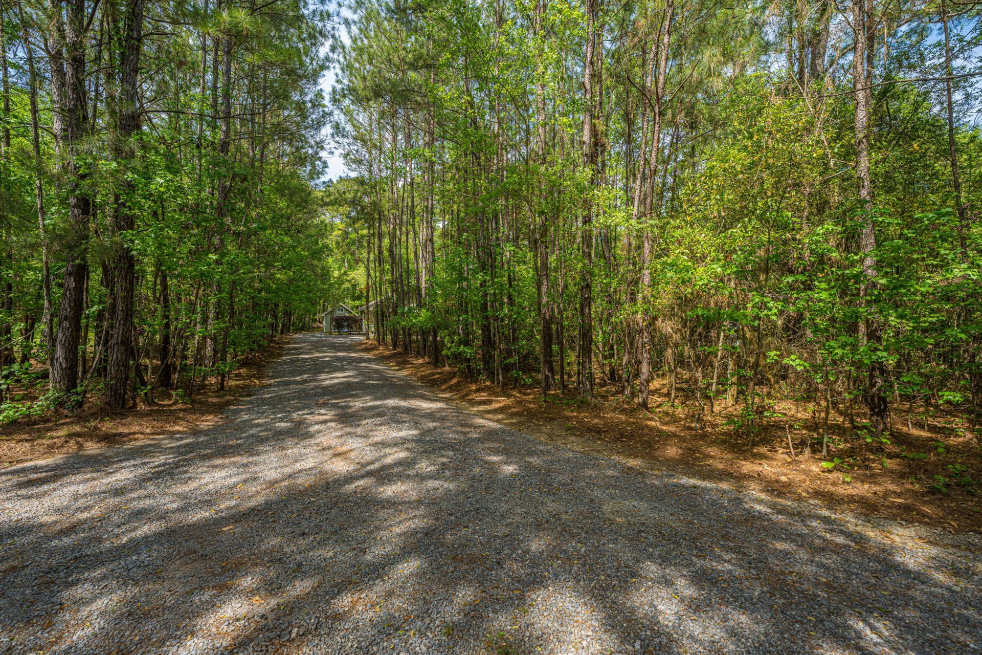 6037 Chisolm Road Photo 32