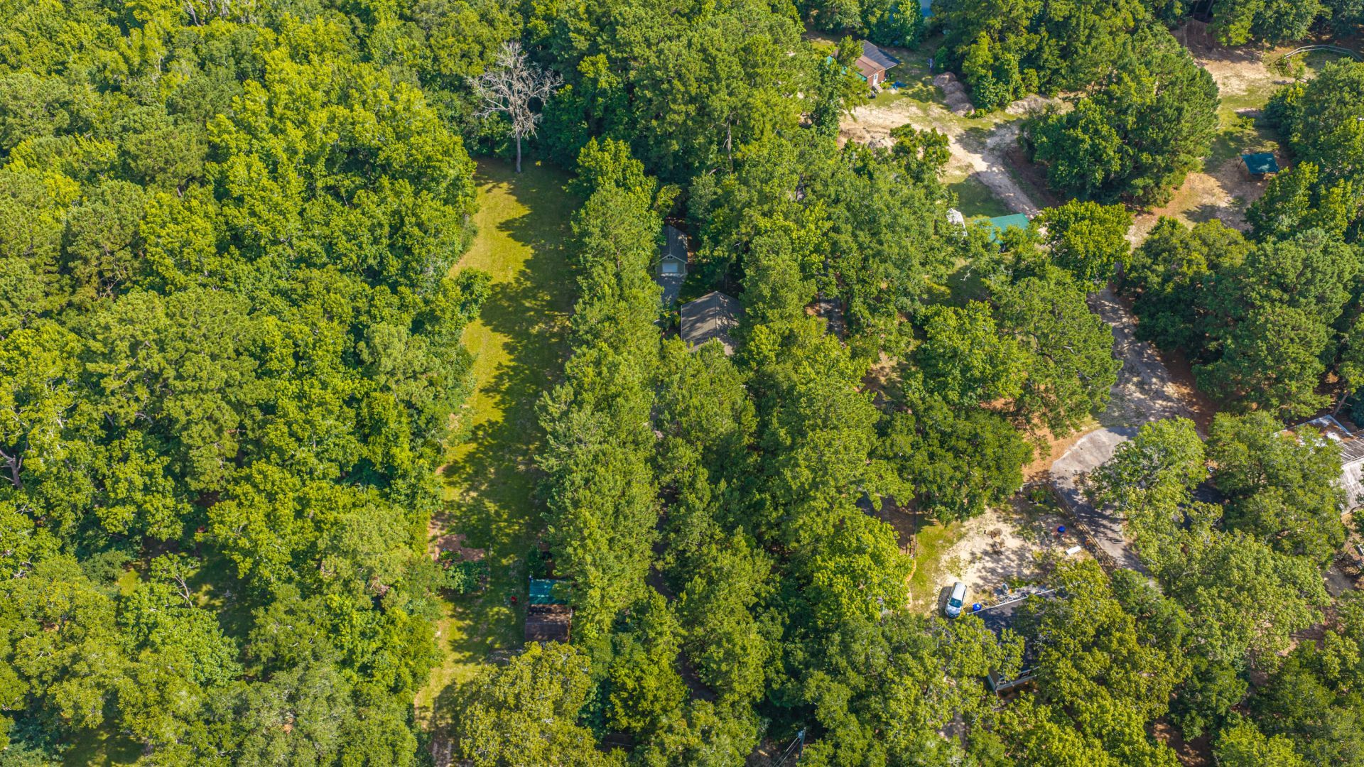 6037 Chisolm Road Photo 50