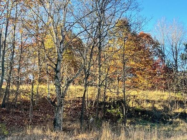 9955 Wiitala Road, Copemish, MI 49625