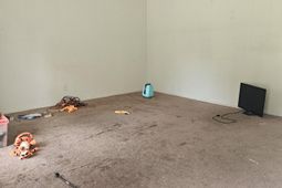 120 Clarine Drive photo 4