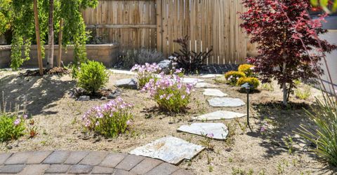 3040 Desert Olive Drive, Reno, NV 89521 Photo
