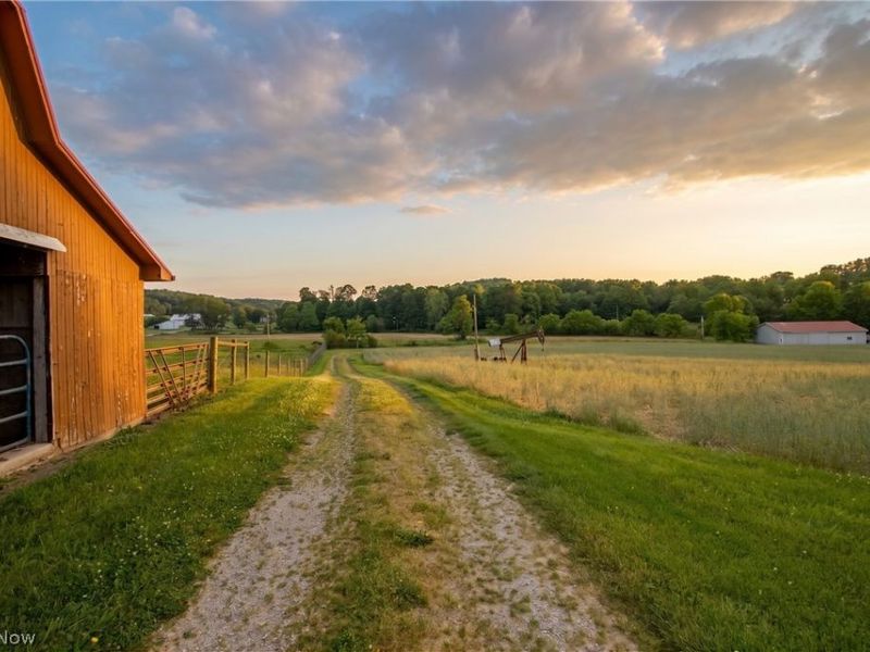 6331 County Road 52, Big Prairie, OH 44611 Photo 40
