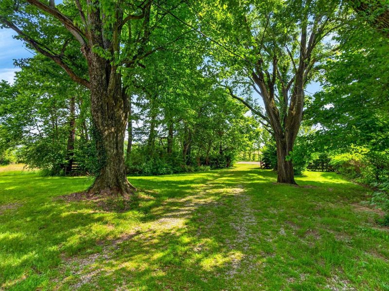 1597 State Route 203, Delaware, OH 43015 Photo 73