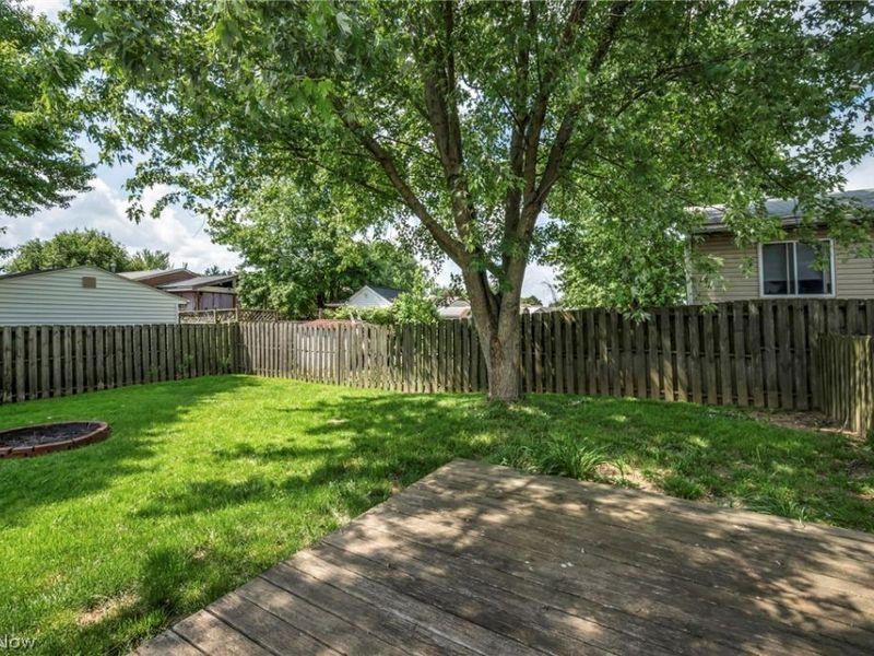 294 Broadview Avenue, Barberton, OH 44203 Photo 29