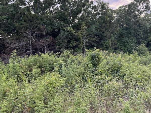 000 Ballard Road , Vilonia, AR 72173