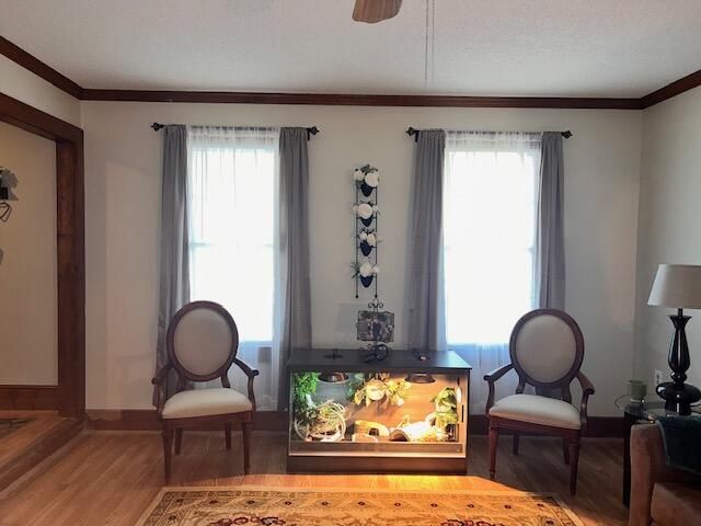 40 W Rigby Street Photo 11