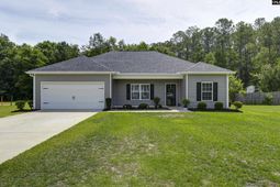 46 Rambling Drive photo 4