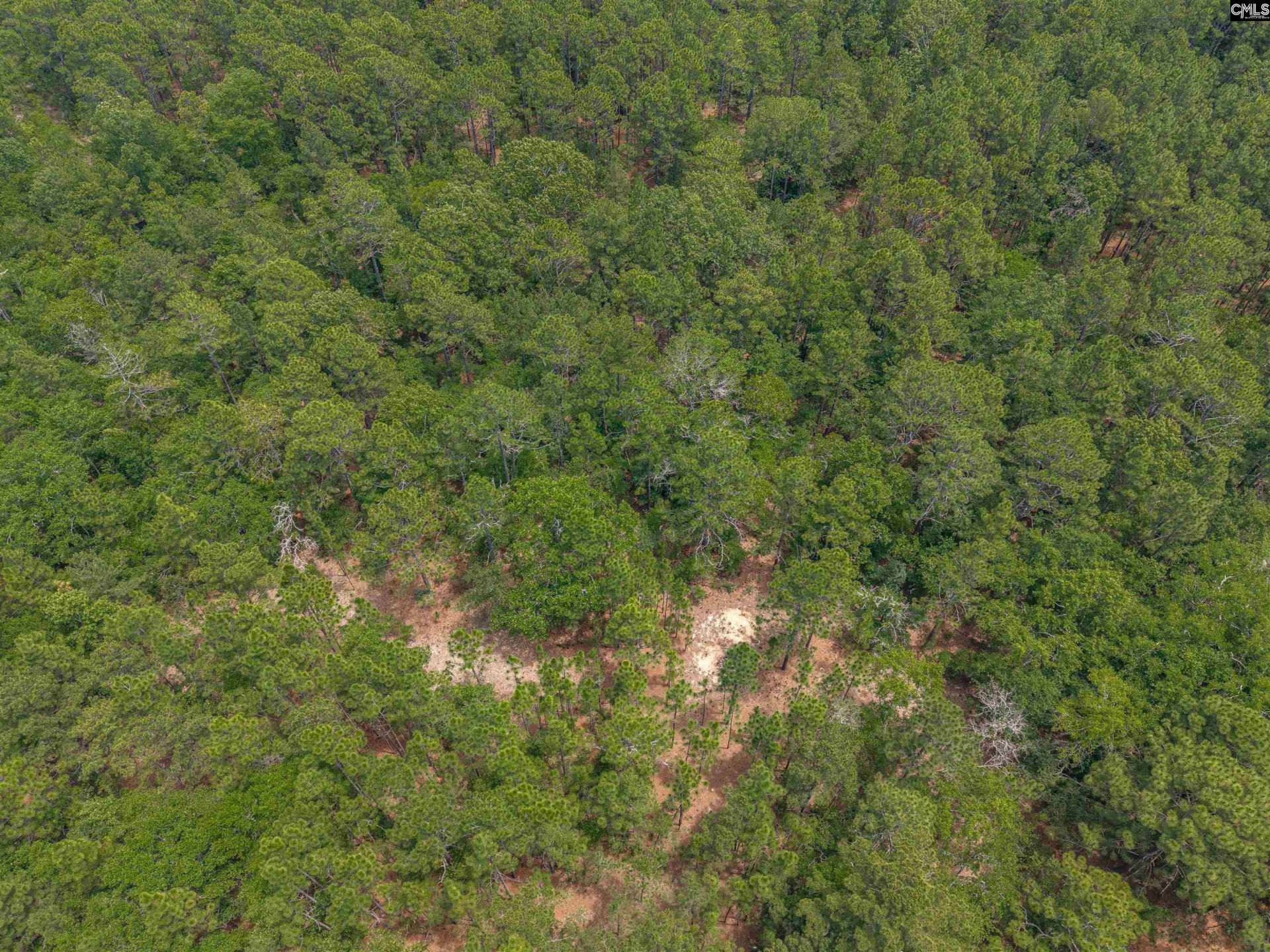 0 Woodtrail Drive  Photo 11