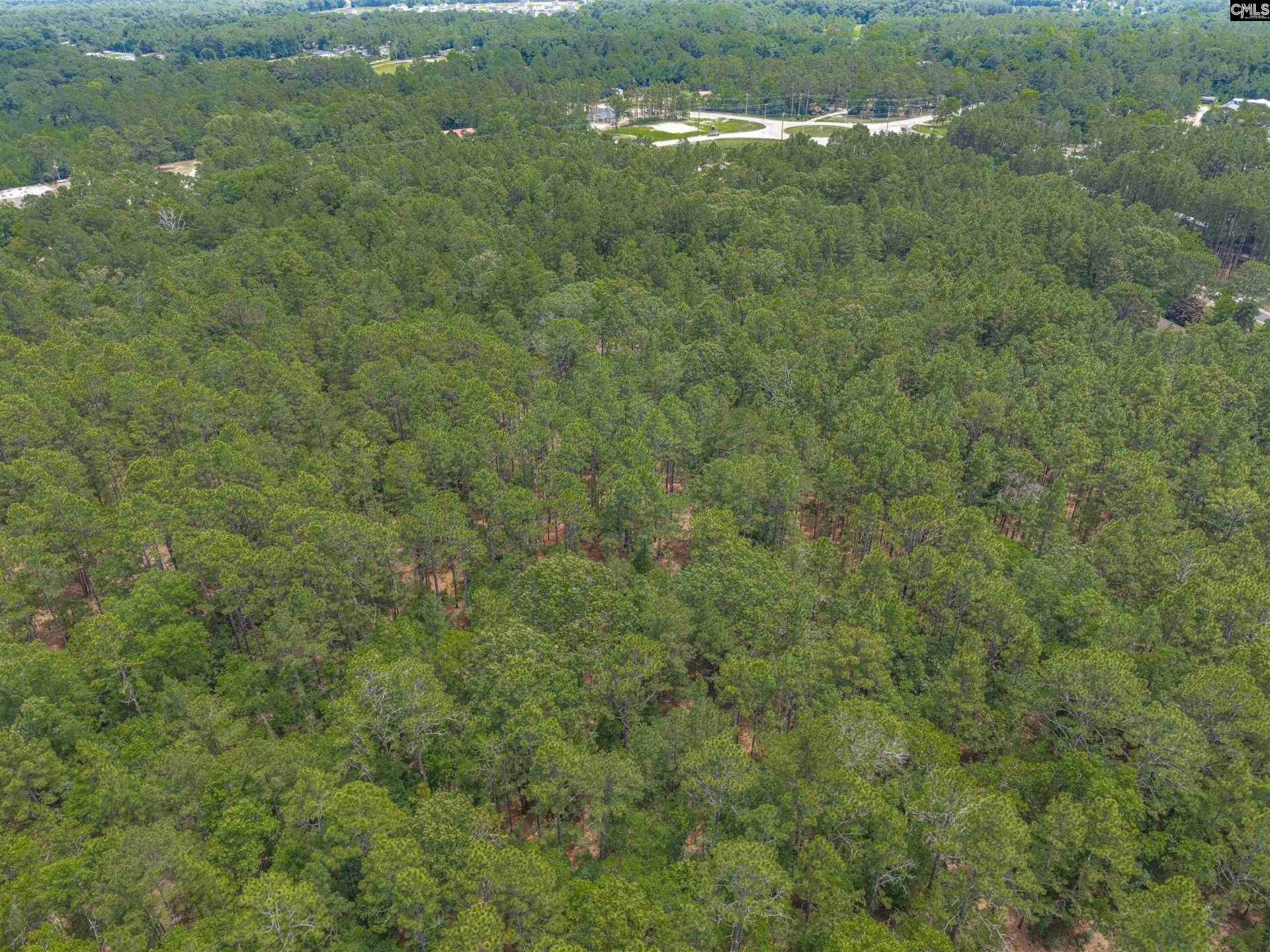 0 Woodtrail Drive  Photo 12